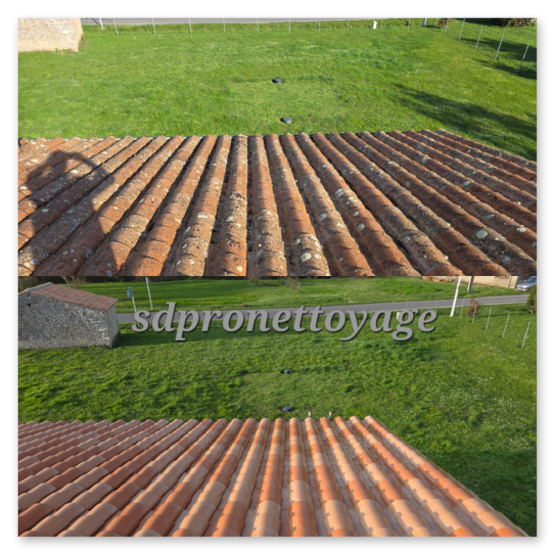 Nettoyage de toiture façade terrasse Charente